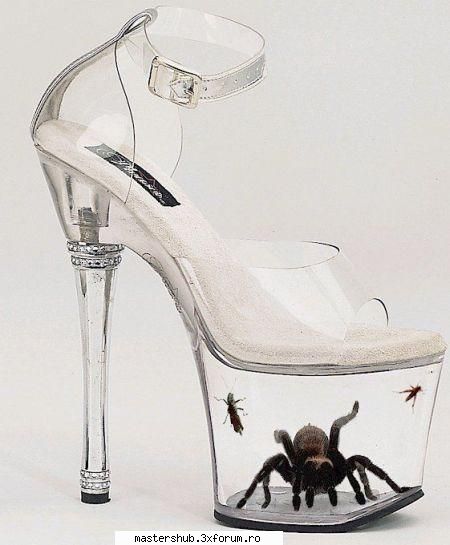 Poze funny - Pentru domnisoare ... un pantof mortal ... Aveti - Fun Zone